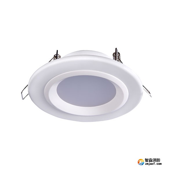 西藏海灣HW-ZFJC-E6W-N621集中電源集中控制型消防應(yīng)急照明燈具