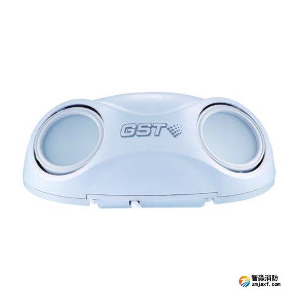 西藏海灣HW-ZFJC-E3W-N660/E6W-N661集中電源集中控制型消防應(yīng)急照明燈具