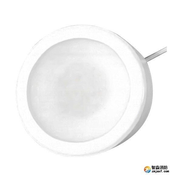 西藏海灣HW-ZFJC-E3W-YN650C集中電源集中控制型消防應(yīng)急照明燈具